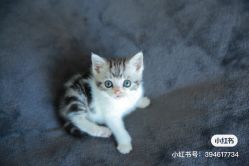 -哈妮儿童摄影(德清店)