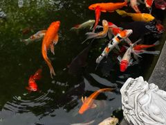 -灵顺寺