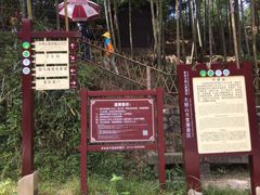 -罗田天堂寨风景区