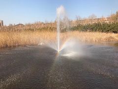 -前关湿地公园