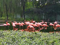 -石家庄市动物园