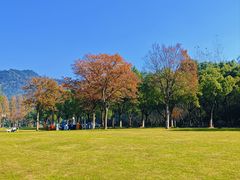 -东钱湖旅游度假区