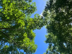 -昆山城市生态森林公园