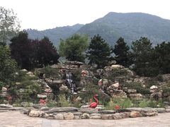 -西安秦岭野生动物园