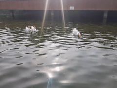 -西安汉城湖景区