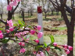 -幕燕滨江·长江观音景区