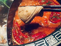 鲜菌鸳鸯锅-纸盐河码头火锅(十八梯店)