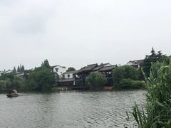 -大塘金香草谷