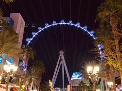 -拉斯维加斯永利酒店