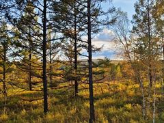 -莫尔道嘎国家森林公园