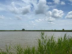 -盐城丹顶鹤湿地生态旅游区