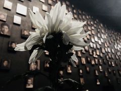 -侵华日军南京大屠杀遇难同胞纪念馆
