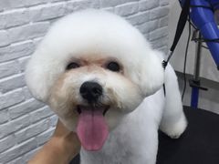 -八公叔叔宠物美容连锁(春申店)