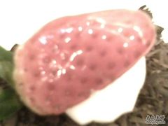 黑森林A-御品轩(边家村店)