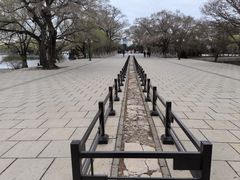 -北陵公园