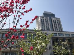 -江南大学(蠡湖校区)