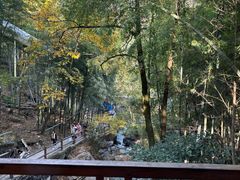 -藏龙百瀑风景区