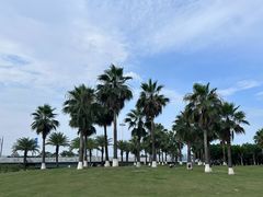 -集美学村
