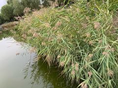 -中关村生命科学园