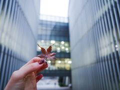 -南京大学杜厦图书馆