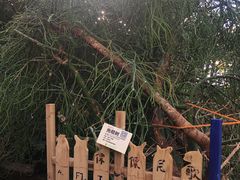 -呀路古热带植物园