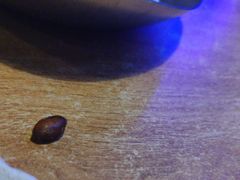 -质烤烤物·活烤海鲜(质烤总店)