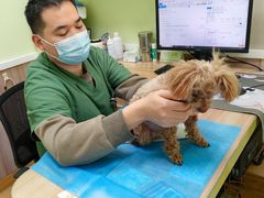 -瑞鹏宠物医院·宠保定点·心脏科·内科(御桥分院)