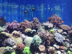-珠海长隆海洋王国