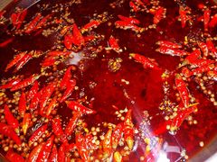 -杨肥肠火锅大排档(火车站花园店)