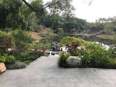 -云溪植物园