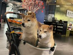 -潮民公馆(BFC外滩金融中心店)