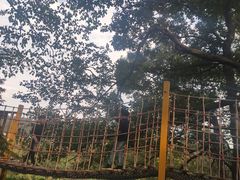 -杭州少年儿童公园