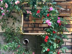 -Rabbit Cafe私房西餐甜点咖啡(栖霞路店)