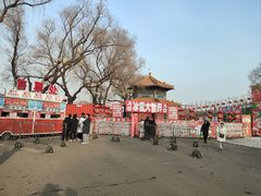 -北陵公园