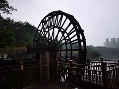 -重庆彩云湖湿地公园