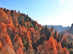 -山王坪喀斯特国家生态公园