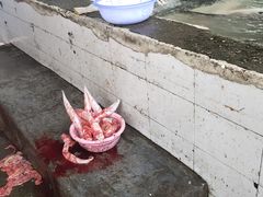 -大通湖
