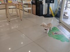 -艾贝尔宠物医院 ·中兽医·宠保定点(北门桥店)