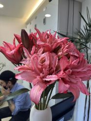 -HaLo hair studio