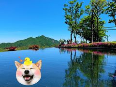 -江南天池