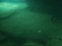 -白鹤梁水下博物馆