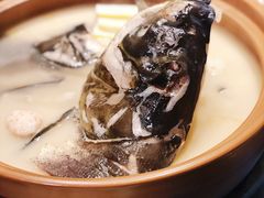 浓汤千岛湖雄鱼头-湘轩·土菜研究院(光大店)