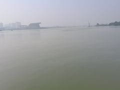 -高子水居