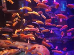 -沈阳海洋探索中心