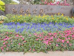 -洲头咀公园