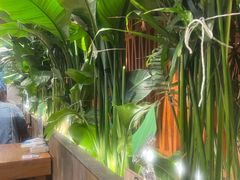 -云阿蛮云南生烫牛肉米线(奉贤路店)