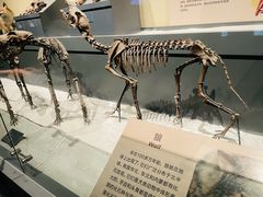 -大庆市博物馆