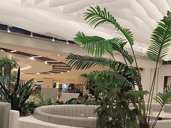-大树餐厅(大悦城店)
