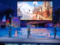 -海合安武汉极地海洋公园