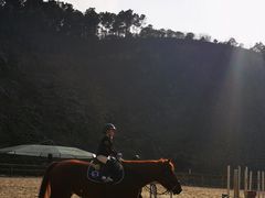 -枫露马术学院(藏书校区)